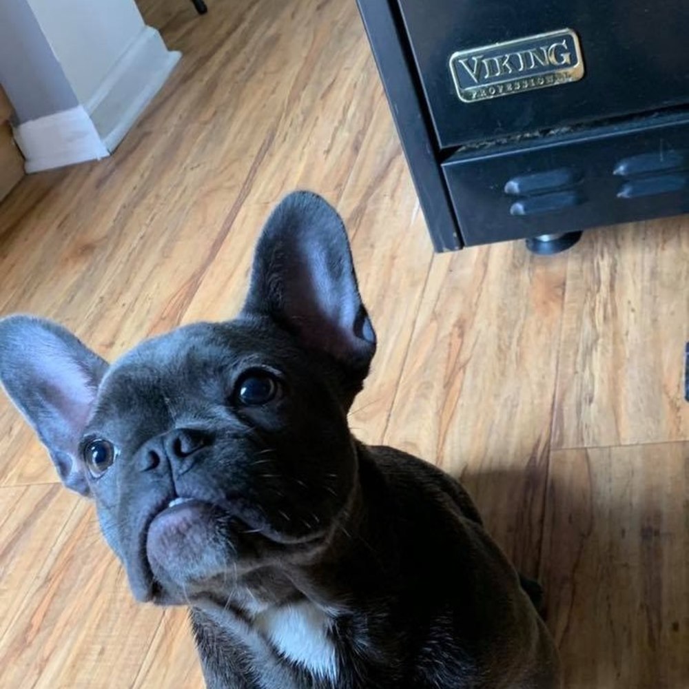 Meet your Posher, Emanuel